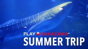 2.1K views · 35 reactions | Head to Notojima Aquarium and go face to...