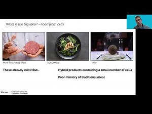 Engineering Cell Lines for Cultured Meat and Sustainable Cellular Agriculture #culturedmeat