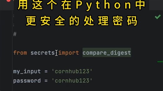 用这个在Python中更安全的处理密码