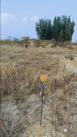 JWM-109K compound bow to shoot arrows🎯 #bowandarrow #archerysupplier #compoundbow #outdoorhunting