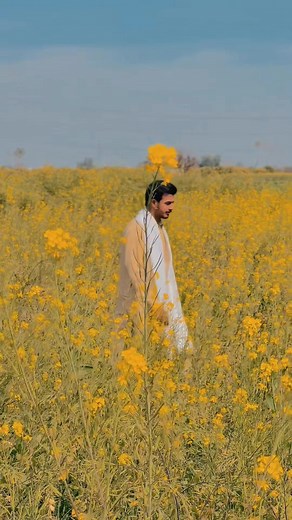 Rawa Tak Tak Thakiya Nighawa meaning and viral use