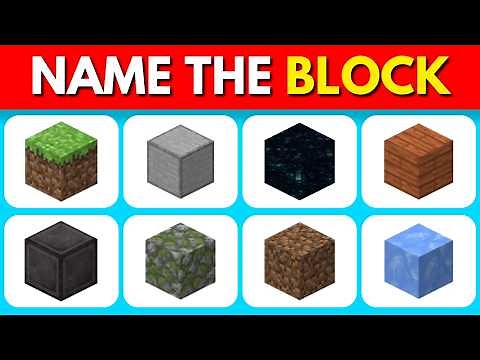 Guess the Minecraft Block! (Easy to Impossible)