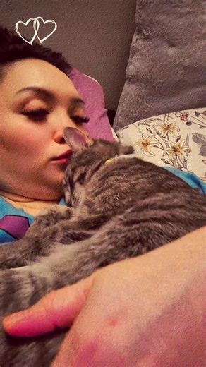 18 reactions | cat sleeping on your chest can symbolize a deep...