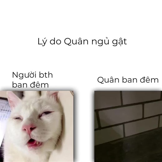 @ohuyqun #meme