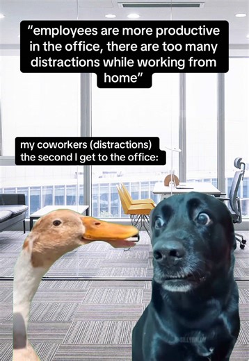 Managing Office Distractions for Better Productivity