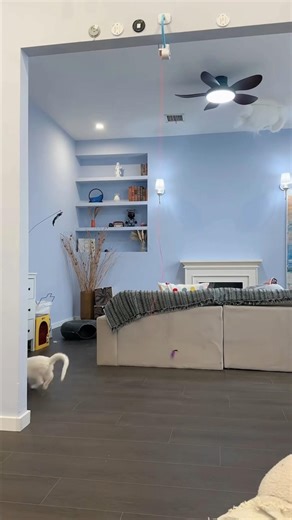 Cat bored at home? 🐱This beating mouse toy keeps them chasing and playing for hours. 🐭