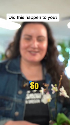 Orchid bud blasting is pretty common, but don’t get discouraged! Plant care is all about patience and enjoying the process. Here are a few reasons why these common houseplants might lose their flowers or buds prematurely. They’re by no means the only reasons, but definitely the most common reasons in my experience! With proper care, these orchids will produce more flower spikes with beautiful flowers. #orchids #planttips #plantsoftiktok