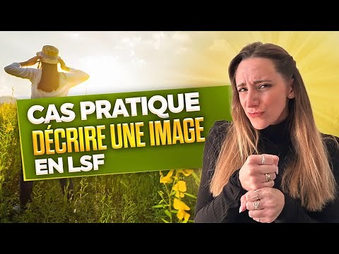 Décrire une image en LSF : Exercices et astuces en langue des signes française !
