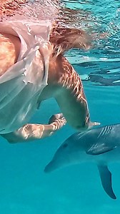 A mama and baby dolphin show up in Kidd's Cove, and suddenly provisioning is forgotten. They circle the boat, leap, and chat away for hours, pulling us into their world. Come watch: https://youtu.be/AdoYxCIJt8I #SailingDarkAngel #KiddsCove #Dolphins #MamaAndBaby #Exumas #CruisingLife | Sailing Dark Angel