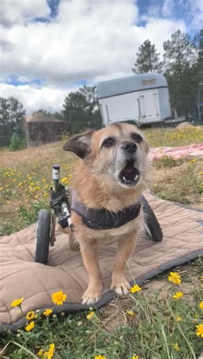 28K views · 1.6K reactions | Did you know that Stefan can sing...