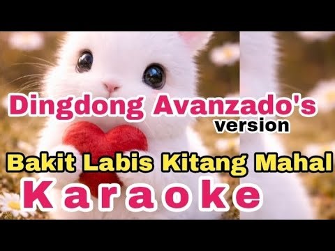 Bakit Labis Kitang Mahal (karaoke) version by Dingdong Avanzado