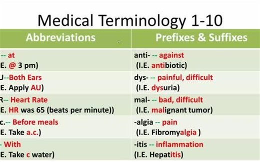 【医学术语学】Medical Terminology 01-10 · 油管搬运