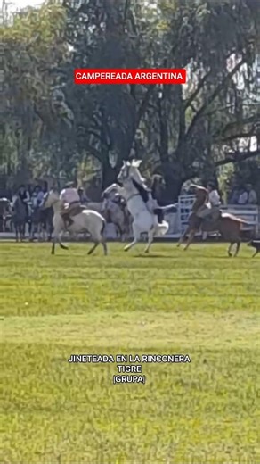 JINETEADA EN LA RINCONERA TIGRE |GRUPA| #caballos #horse
