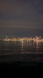 22K views · 805 reactions | Seattle Skyline #exploreseattle #seattle #downtownseattle #reelitfeelit #explorewashington #spaceneedle #waterfront #westseattle #alkibeach | Seattle Travel Insider | Facebook