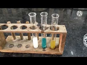 Std 10, science practical (practical nos 11)