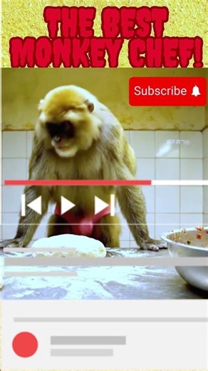 The Monkey Chef’s CRAZY! #funnyshorts