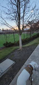 Nathan Weller on Reels