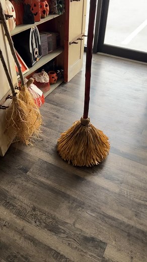 33K views · 1.7K reactions | Take a peek into our Halloween room at our warehouse! 李李 . #Halloween #creativity #theshabbytree | The Shabby Tree | Facebook