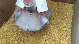 Our small batch grain dryer serves many purposes, popcorn was primary use however we do dry grain corn for retail use along with using the cleaning system to sort and process many items through out the year. Here is the last batch of grain corn from last year finally being cleaned and will be run for stove corn soon. Add a little heat from the greenhouse oil furnace and it becomes a very efficient system as it doubles as a large heat storage vessel between heating cycles. We are now running a VF