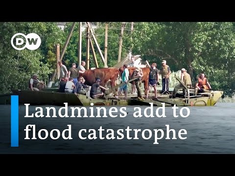 Landmines dislodged by flood pose threat in Ukraine | DW News