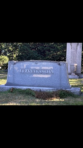 Frankenstein's Hilarious Bathroom Dilemma