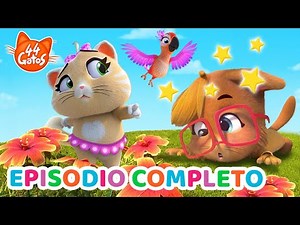 44 Gatos | Salvajes y valientes 🎬 ¡Nuevos episodios completos! 🐱✨ Temporada 2 Episodio 34