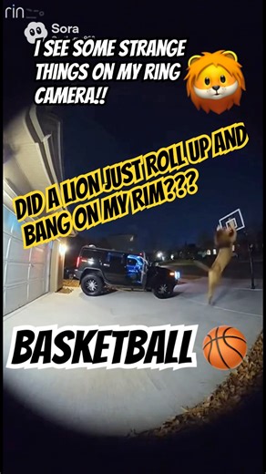 Strange things seen on ring camera #viralvideo #fypシ #fyp