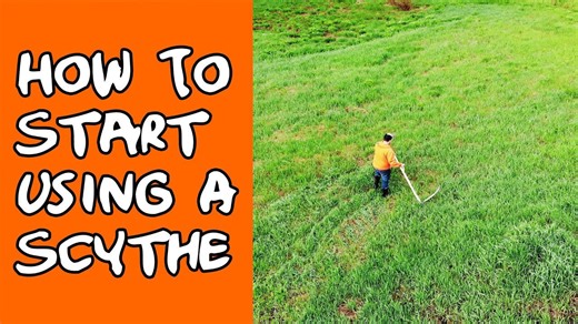 My First Scythe Experience: Harvesting on the Farm