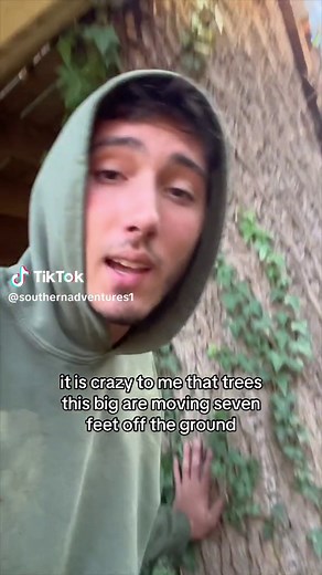 Building a Treehouse: Step-by-Step Guide