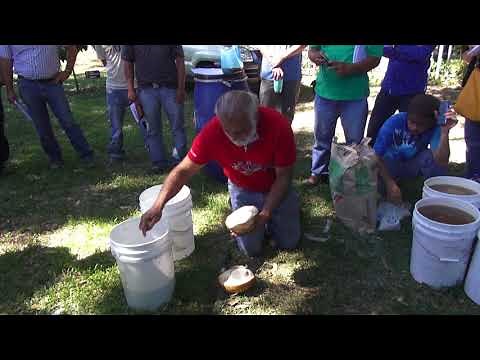 Trichoderma capture method