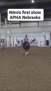 Baby Nitro went to his first real show this weekend and he didn't disappoint us. Unanimous First - ranch pleasure. 3 firsts and a 2nd - ranch ridding 1st 2nd 4th 5th - Ranch Rail We came to the show with 0 expectations other than to build confidence and him placing well was icing on the cake. Not bad for a spicy baby with less than 6 months of ridding. #eclipseversatilityhorses #coltstarting #TheSweetSpot #ranchridding #ranchversatility #versatilityranchhorse | Eclipse Versatility Horses