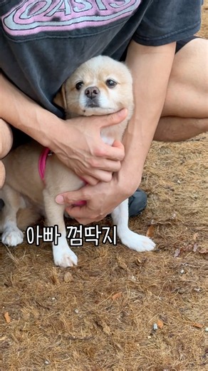 아빠 없인 못 살아 아빠껌딱지 삐삐