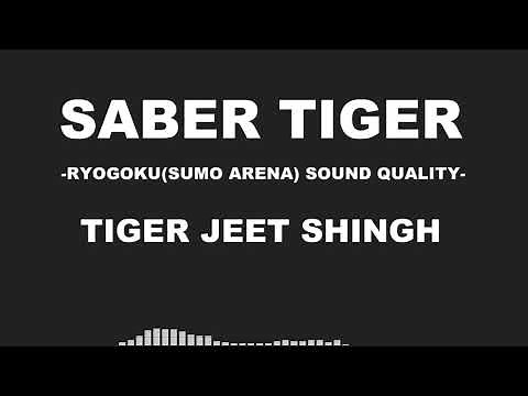 【両国音質】タイガージェットシン「サーベルタイガー」【臨場感】