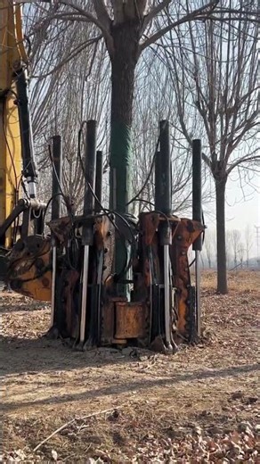 Amazing Tree Transplanting Machine 🌳 #Shorts