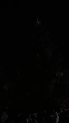 49K views · 858 reactions | Vianočný stromček aj výzdoba v celom meste je rozsvietená ✨✨✨ #vianoce #mikulas #michalovce #michalovcesrdcezemplina | Michalovce - srdce Zemplína | Facebook