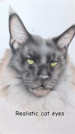 Realistic Cat Eyes - Colored Pencil Drawing #cateyes #catdrawing #coloredpencils #catportrait