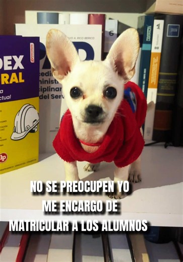 Cuando el mejor elemento se encarga de todas las matrículas en #lp #derecho #laboral #capacitaciónjurídica #lpderecho