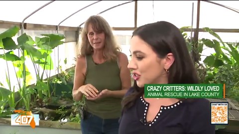 Crazy Critter Farm: Exotic birds, reptiles, and turtles