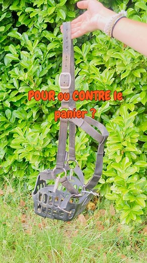 19 reactions · 3 comments |  Le panier chez le cheval en surpoids…...