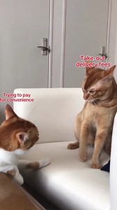 Who here has been personally victimized by take-out delivery fees? 🙋 Maybe it's time to stock up your fridge with Hungryroot. #takeout #delivery #eats | Hungryroot