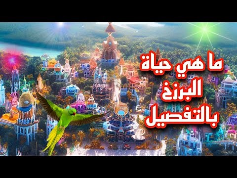 What Is Life in the Barzakh in Detail?