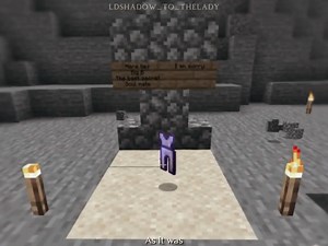 Exploring the Double Life SMP in Minecraft