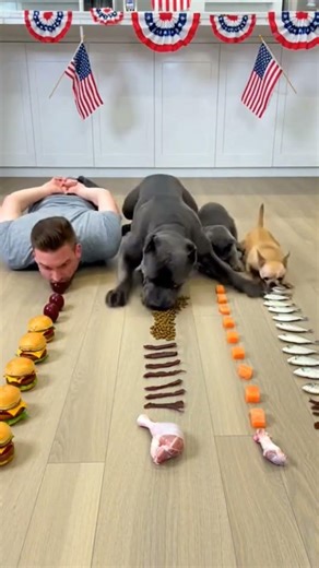 I fed him with love…bro fed me embarrassment 😭😂 #dog #cat #eatingchallenge #food #pets