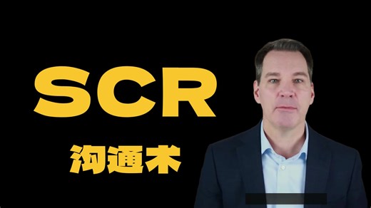 像顶级咨询师一样沟通（1）SCR framework