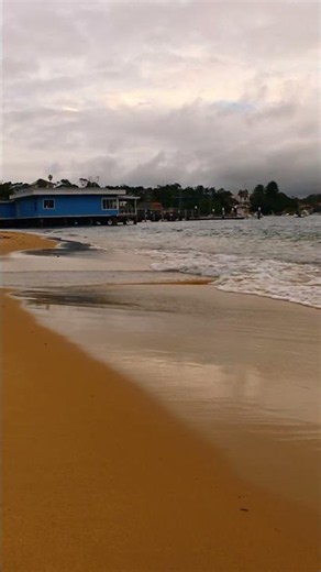 Relaxing Ocean Waves at Watsons Bay 🌊✨ | Sydney Australia