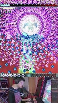 Absurd Hibachi final pattern