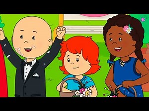 The Big Celebration | Caillou's New Adventures