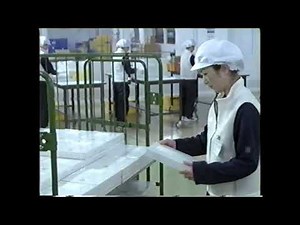 【懐かしいCM】（8）ドモホルンリンクル 2004年 Retro Japanese Commercials