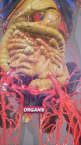 1.7K views · 16 reactions | Breaking barriers in with Stem Cells: The...