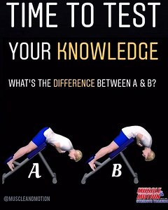 11K views · 101 reactions | Test your knowledge What is the difference between the two variations in the video? We will reveal the answer in the next video! Until then share your thoughts with us by adding a comment below. Thanks for watching, if you have any question or you want to get more info, please visit our website www.muscleandmotion.com or simply click the link below https://www.muscleandmotion.com/products/strength-training-app/ | Muscle and Motion | Facebook